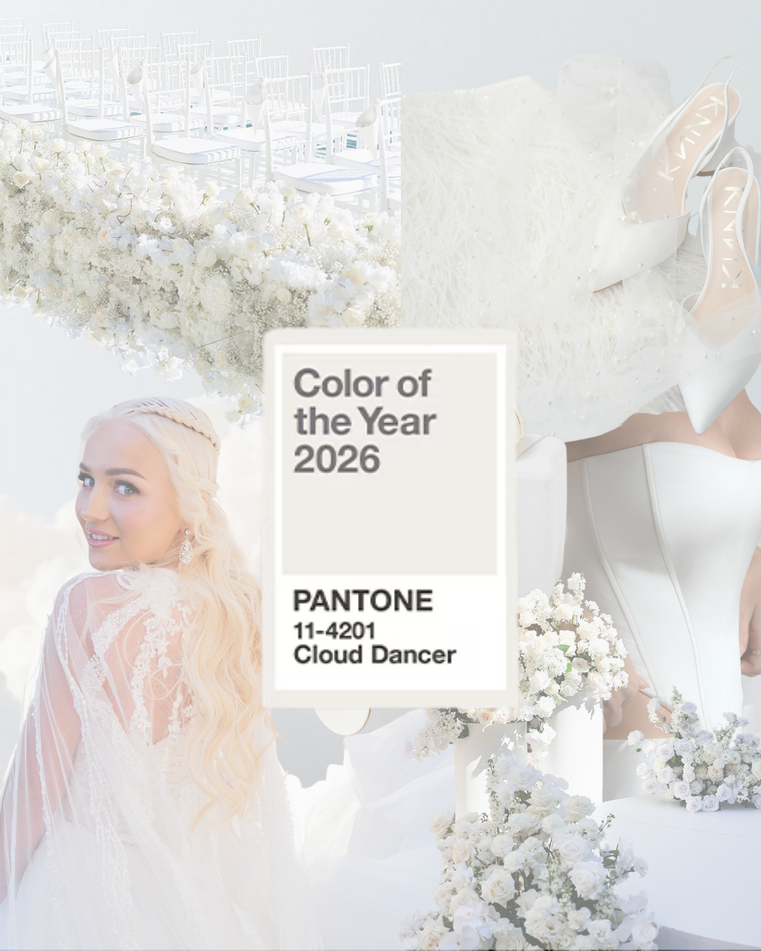 PANTONE COLOR OF THE YEAR